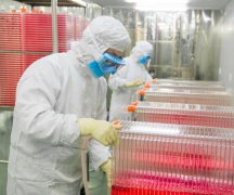 接种EV71疫苗可有效预防EV-A71感染引起的手足口病